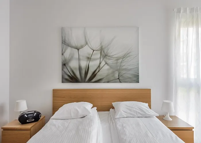 Baltic Shell - Nadmorze Danzig